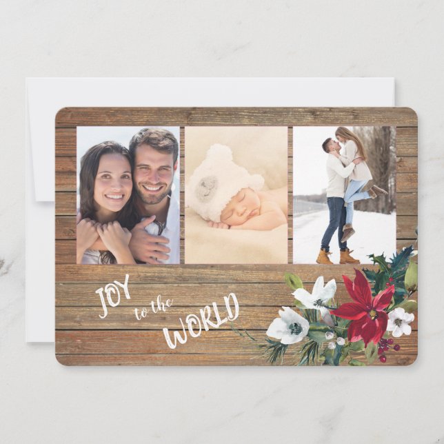 Poinsettia Joy para o modelo de 4 fotos mundial (Frente)