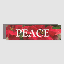 Poinsettias e o Magnet do Carro da Paz