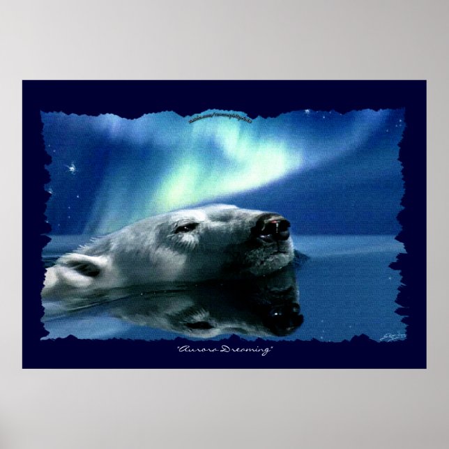 Polar Bear Ártico, Poster (Frente)