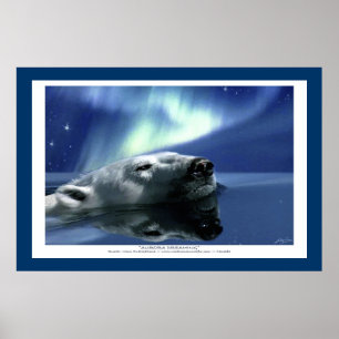 POLAR BEAR & AURORA Art Poster