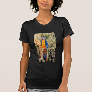 "Polk repete mecanicamente" o pequeno t-shirt das