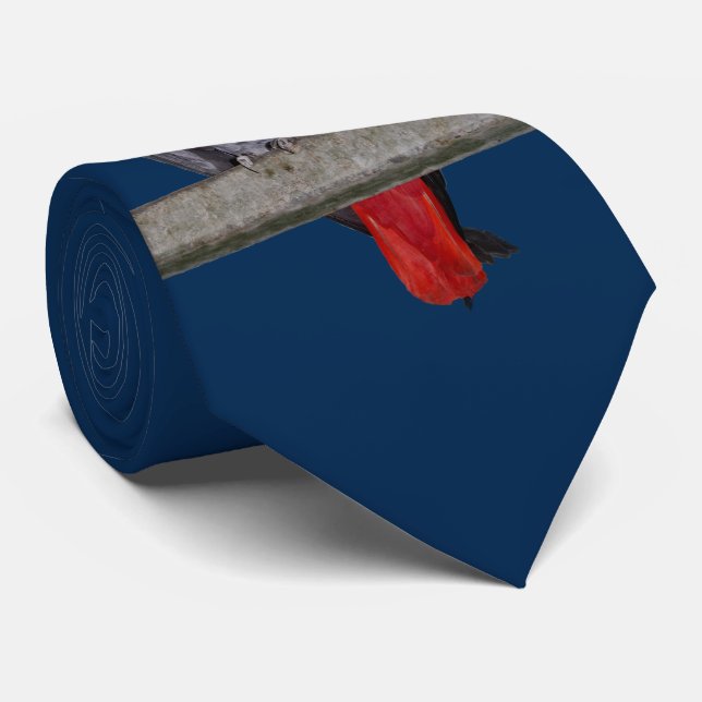 Polly Gravata de Duas Cores (Azul Marinho) (Rolled)