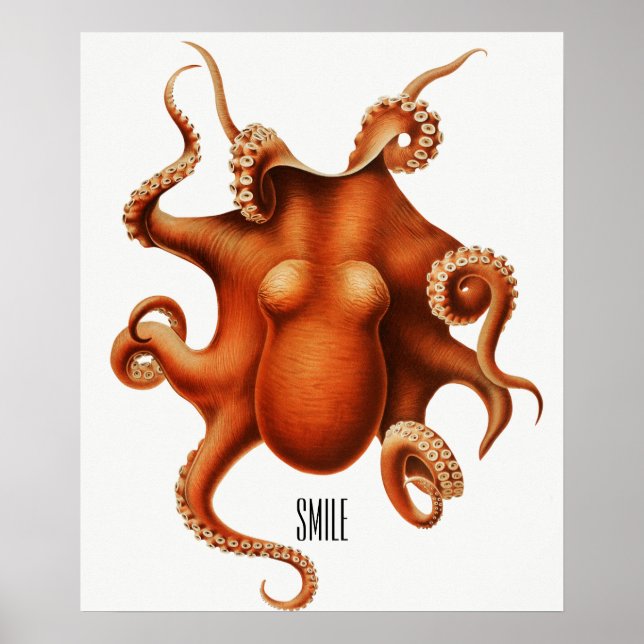 Polvo 'Sorria' Octopus Impresso Poster (Frente)