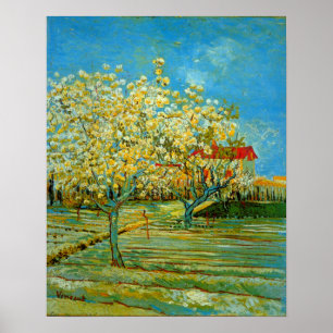 Pomar em Blossom por Vincent van Gogh Poster