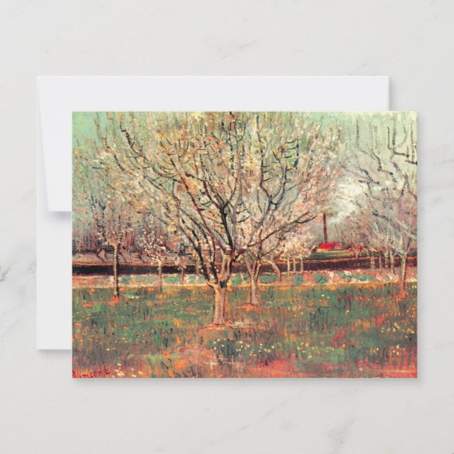 Pomar em Flor, Ameixeiras por Vincent van Gogh (Frente)