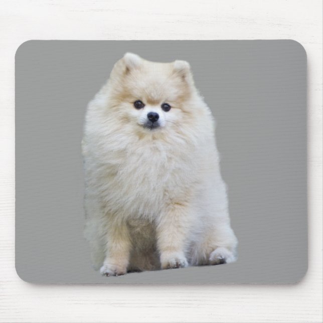 Pomeranian Mousepad (Frente)