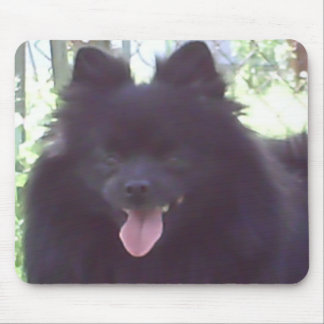 Pomeranian preto Mousepad