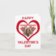 Pônei Bonito em Cartões do Dia dos Namorados para