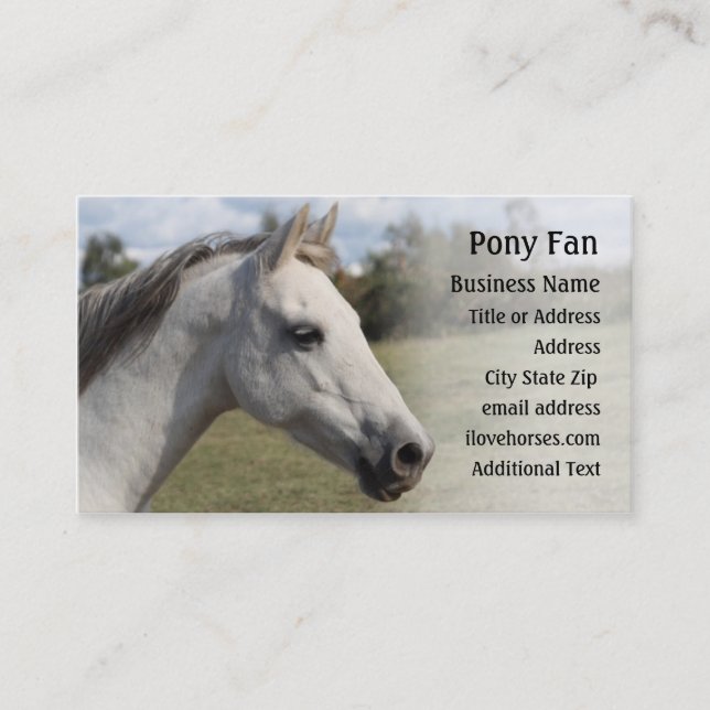 Pônei cinzento - cartão de visita da foto (Frente)