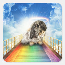 Ponte de muitos adesivos de cores