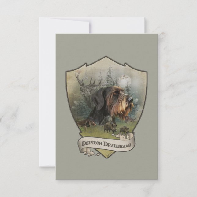 Ponteiro Alemão Wirehaired, Caça a Barcos (Frente)