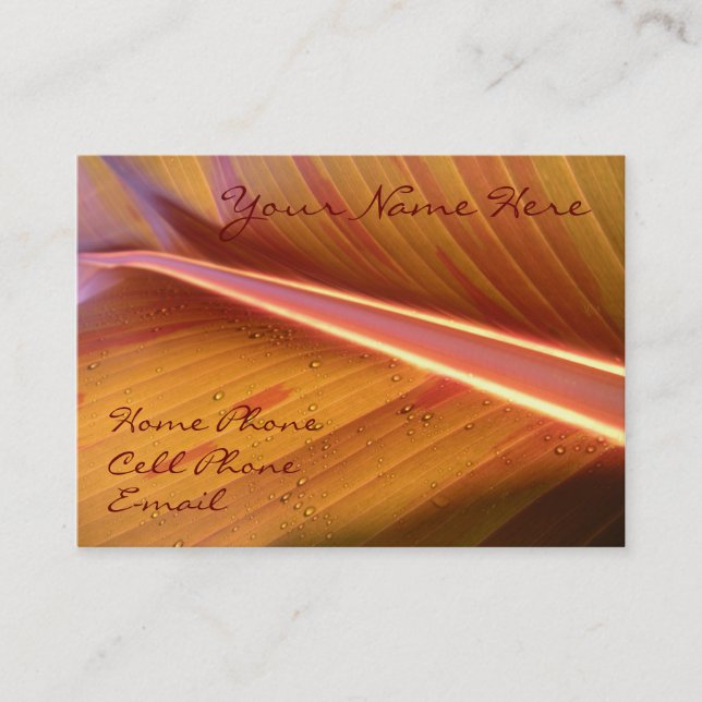 Ponto do cartão de visita leve (Frente)