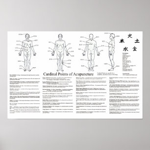 Pontos cardinais do poster da acupunctura
