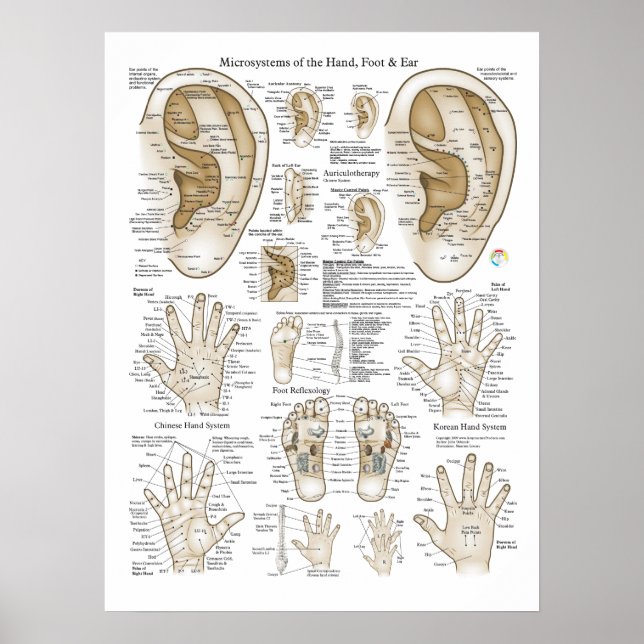 Pontos de microsistema de Acupuntura Poster (Frente)