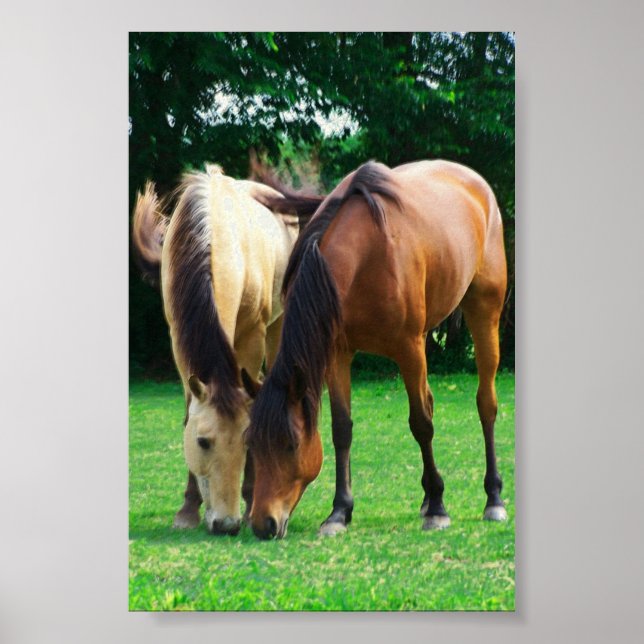 Pony Love Poster (Frente)