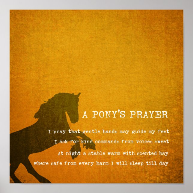 PONY PRAYER 12 x 12 Telas de impressão (Frente)