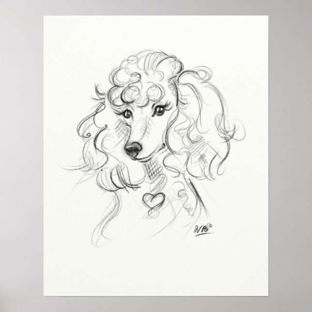 Poodle Art Impressão | Arte esboçada (Frente)