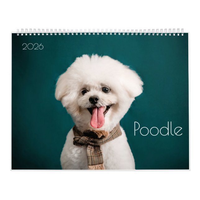 Poodle Cute Poodle Puppies 2024 Calendário (Capa)