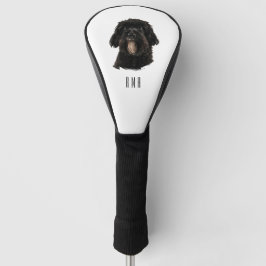 Poodle Preto
