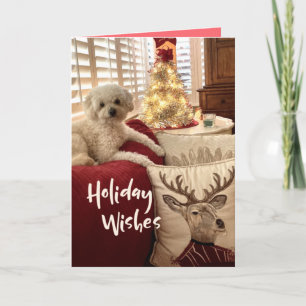 Poodle Reindeer Cartão de Saudação de Pé de Na