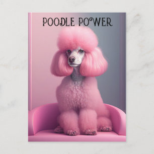 Poodle rosa - Cartão postal de poodle