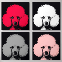 Poodles de Pop divertidos e coloridos