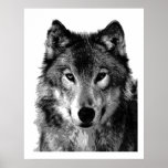 Pop Art Cinza Wolf Face Poster Impressão<br><div class="desc">Trabalhos de arte,  pinturas,  imagens e imagens digitais de animais selvagens</div>