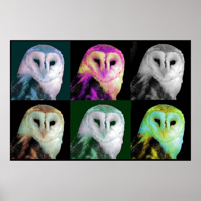 Pop Art Owl Poster (Frente)