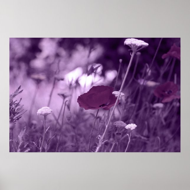 pop-i impressão púrpura (Frente)