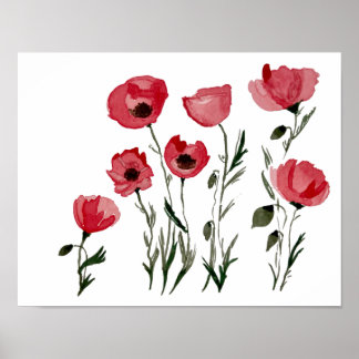 Poppies - Impressão Floral