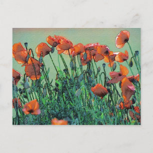 Poppies N.º 4   Cartão postal