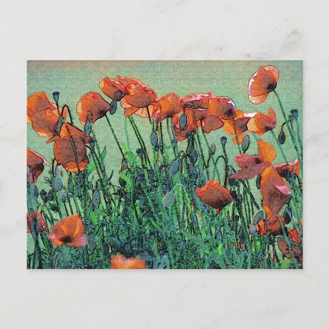 Poppies N.º 4 | Cartão postal (Frente)