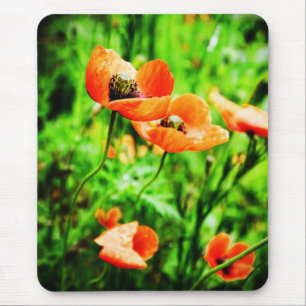 Poppies no Mousepad da Nova Zelândia