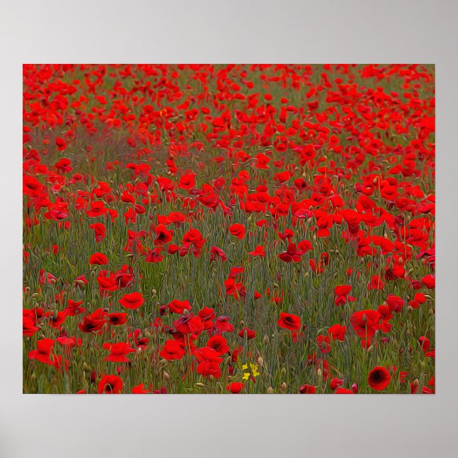 Poppies Poster (Frente)