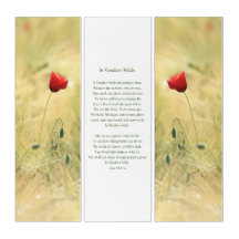 Poppies Vermelhos, Poema Dos Campos Da Flandres