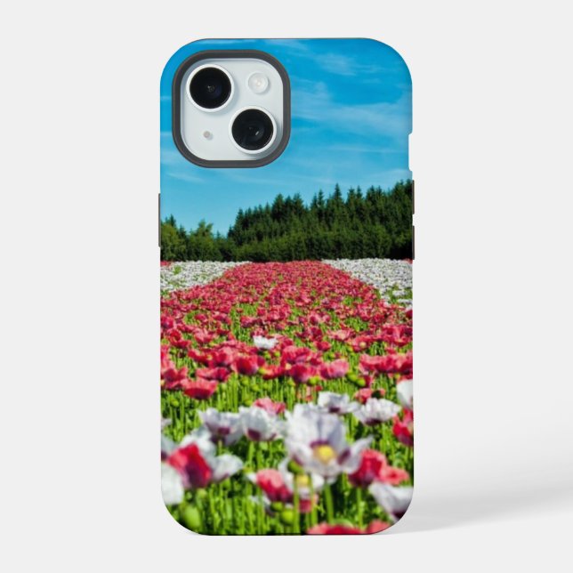 Poppy Field (Verso)