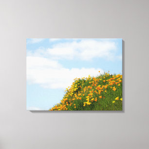 Poppy Meadow Hillside art impressões Nuvens Azuis
