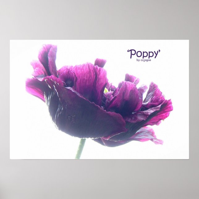 Poppy Poster (Frente)