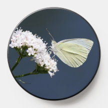 PopSocket da Borboleta Branca