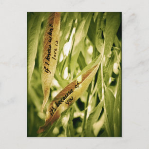 Por causa de você (amor) cartão postal