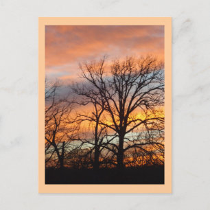 Pôr do sol de inverno 1 cartão postal personalizad