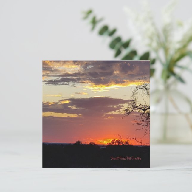 Pôr do sol deslumbrante cartão plano do Texas Hill (Em pé/Frente)