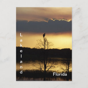 Pôr do Sol em Lakeland Florida 139 Cartão Postal