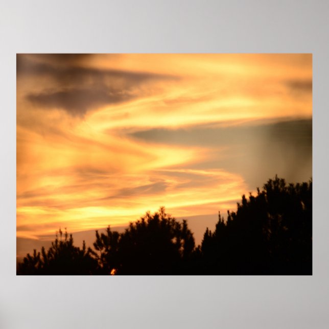 Pôr do sol na Poster da floresta (Frente)