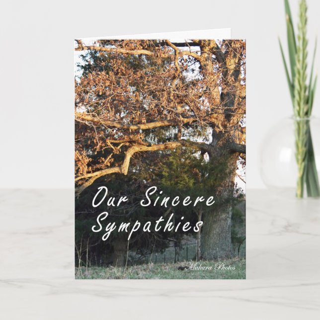 Por do sol no cartão de simpatia da árvore (Frente)