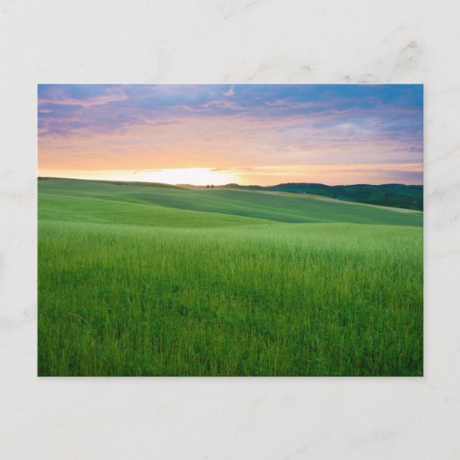 Pôr do sol no cartão postal da Toscana (Frente)