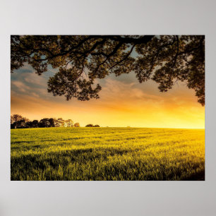 Pôr do sol num Poster de Paisagem Rural