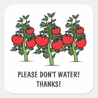 Por favor não molhe etiquetas - tomates