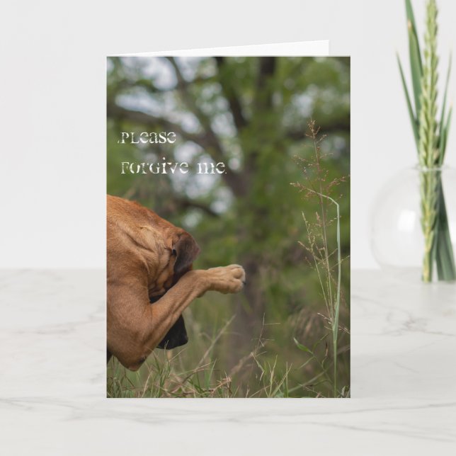 Por favor, perdoe-me o cartão (Frente)