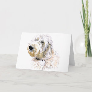 Pôr manteiga o cartão de Labradoodle